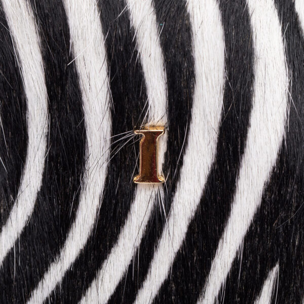 Candy Zooly - immagine 6