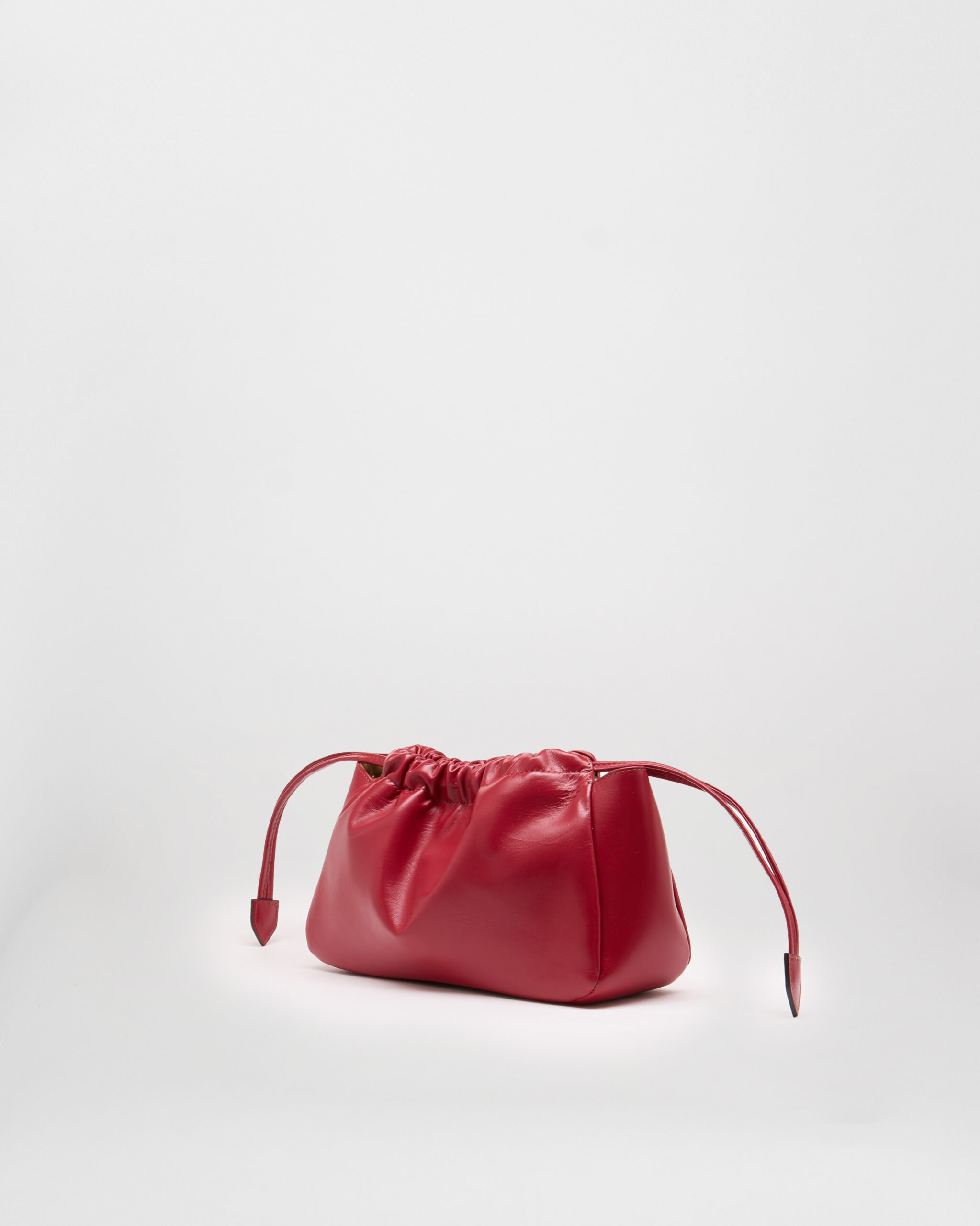 BIGNÈ RIBES Midi - immagine 2