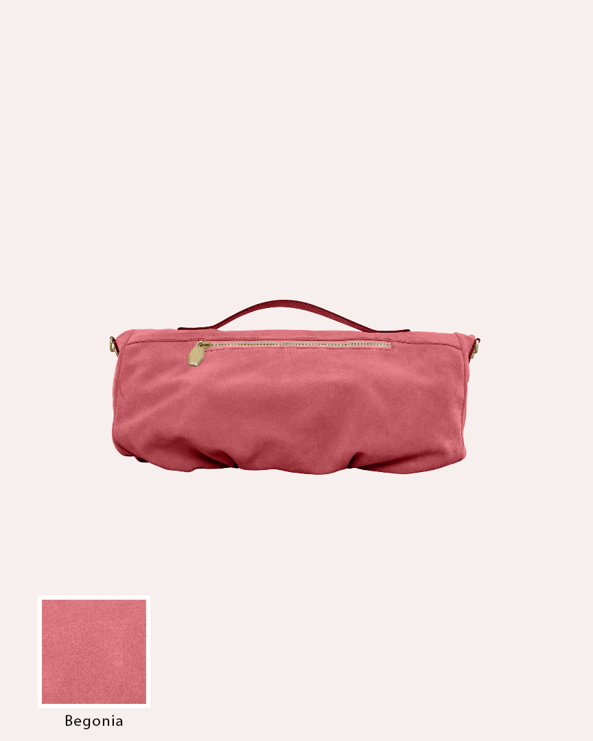 Begonia - immagine 4